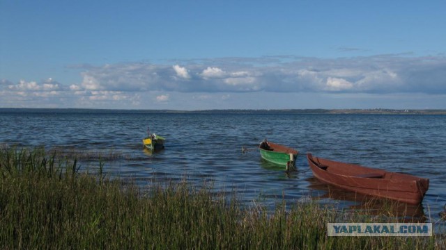 Хочу в Россию.