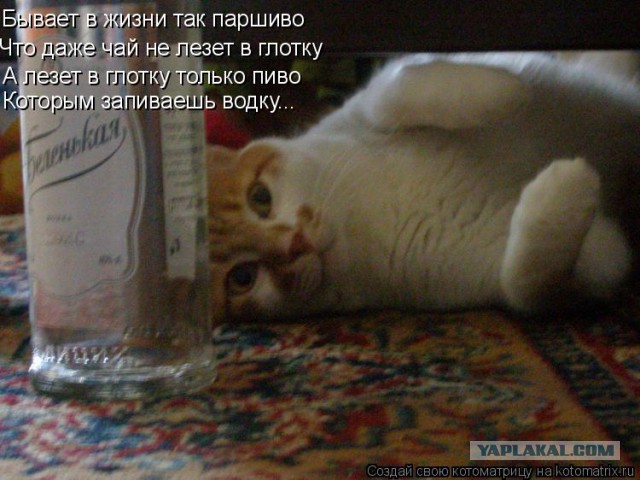 Все плохо
