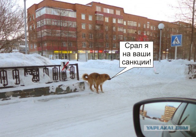 Против системы