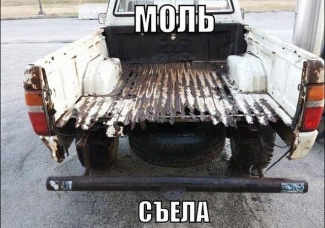 Прикольные картинки