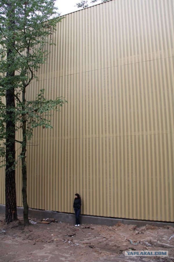 Забор вокруг дома