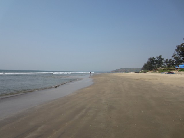 Такое увидишь только в Индии