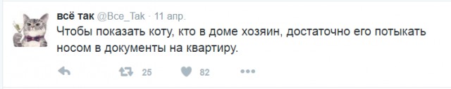 Смешные комментарии 24.04.2016