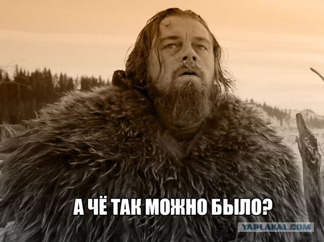 Секретная школа смертельных единоборств "Бурый медведь"