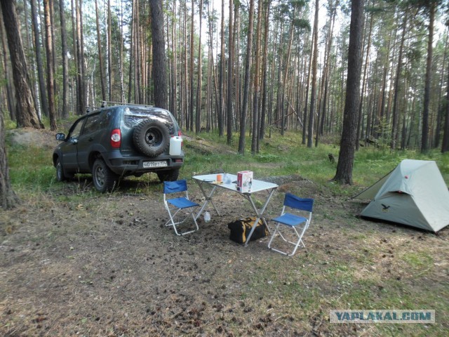 Зарница для старперов