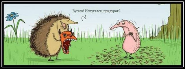 Порция абсурдного юмора на следующую неделю