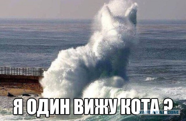 Подборка картинок