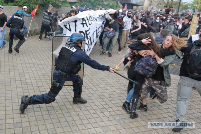 Владивостокская полиция. Задержание за рулон бумаги