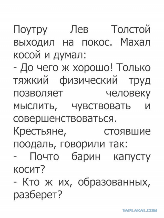 Смешные комментарии из социальных сетей 10.11.2017