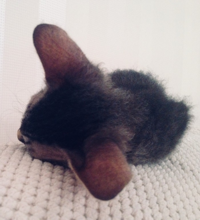 Котовторник  31.07.2018