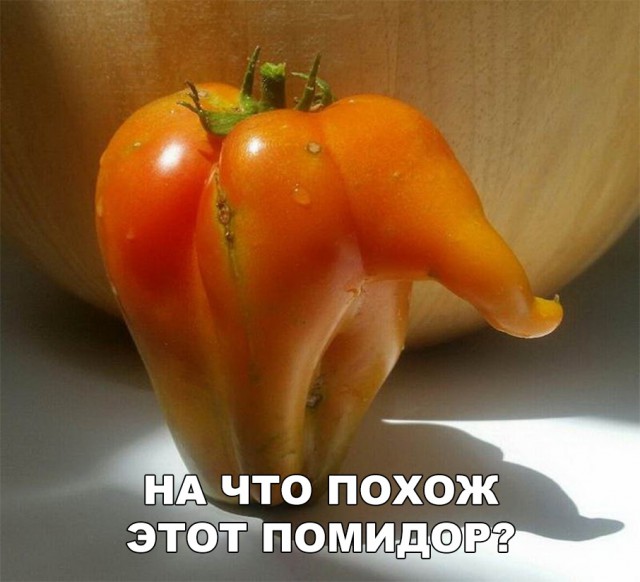 Нестандартный юмор