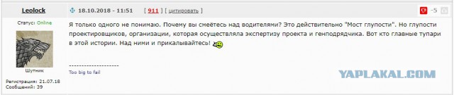 Сегодня ночью под мост глупости влетела 158-я ГАЗель