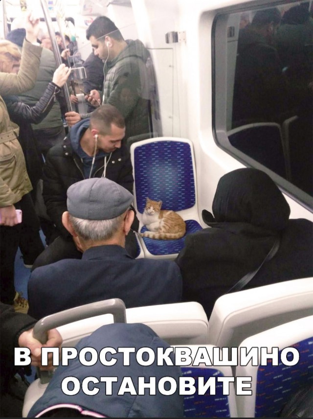 Нестандартный юмор