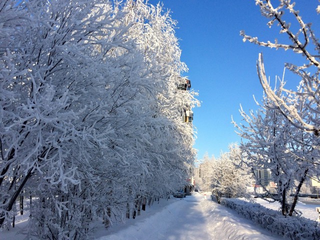 Сургут 01.02.2019, несколько фотографий