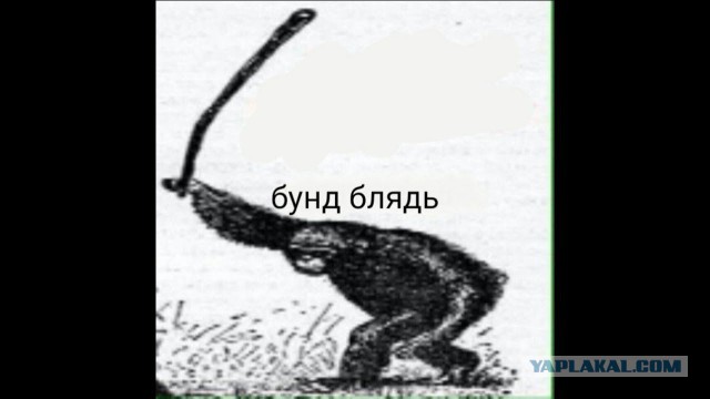 Заброшенные деревни Костромской области. Совега