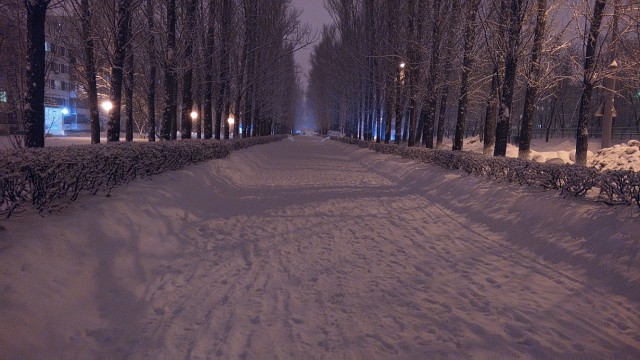 Сам себе фотограф