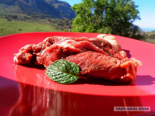 Лапша лугового флота свободного выгула