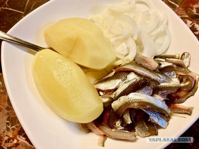 Венгерская уха халасле из местечка Тольна