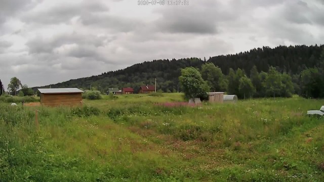 Дачное утро.