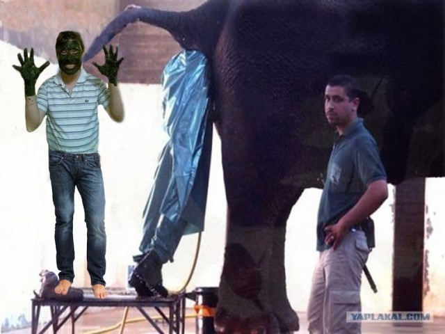 Из серии "отфотошопте меня"