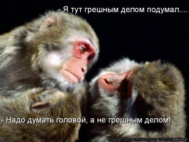 Весёлый полтишок 17.03
