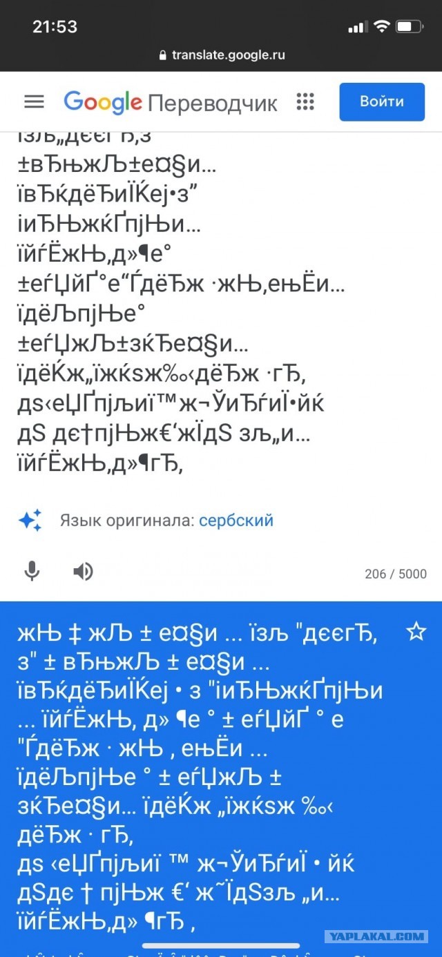 Последняя картинка в вашей Галерее/Загрузках
