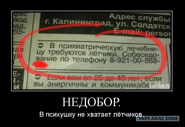 Друзья! Я ищу новую работу, думаю разослать видеорезюме - оцените!