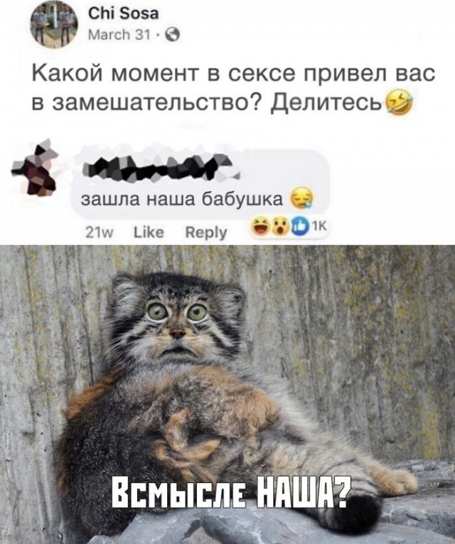 Юмор в картинках 22.08.21