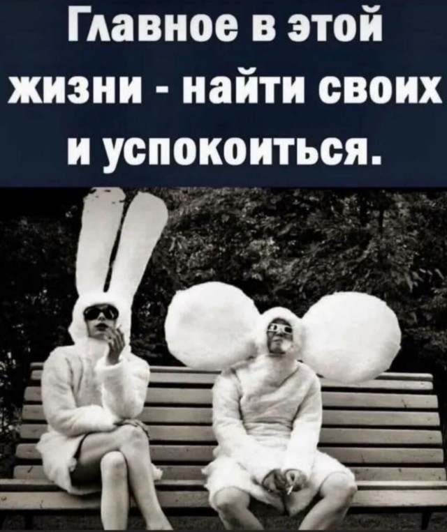 Суббота? Опять напился? Надо, чтобы убило? Тебе сюда