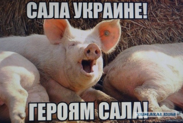 Экстренное заседание Совбеза ООН по Украине начнется в 5:00 утра 22 февраля