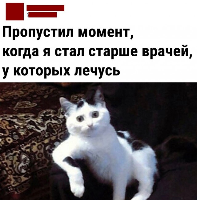 Так себе картинки 11.06.22