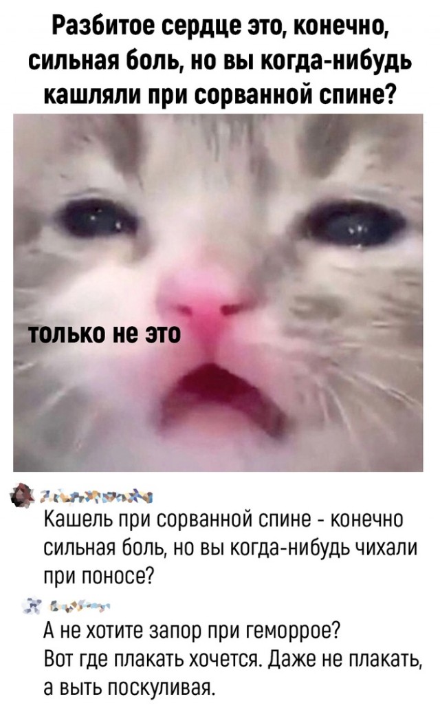 Так себе картинки 16.06.22