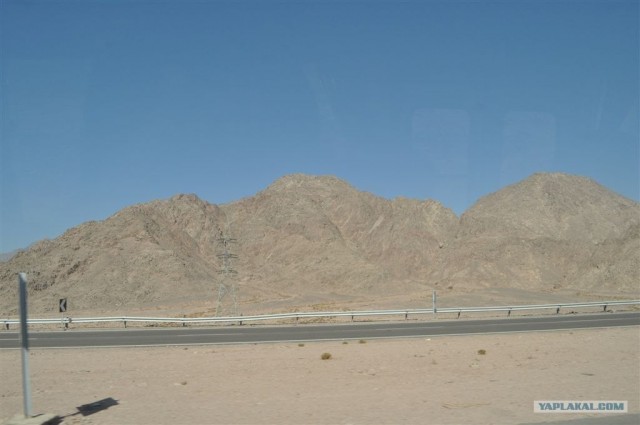 Как я ездил в Египет