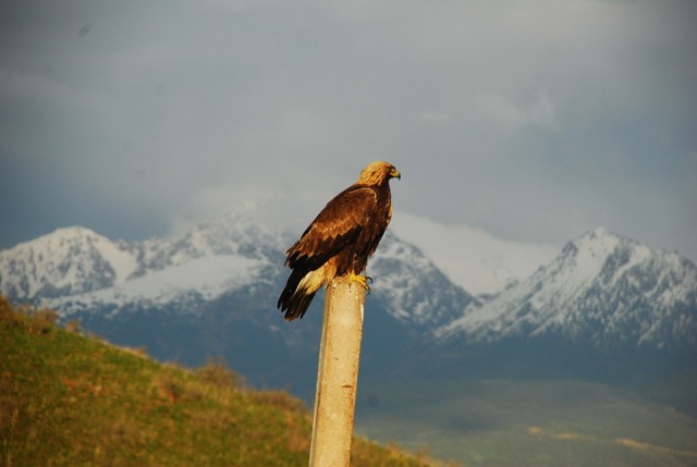 Путешествие на ВАЗе