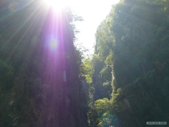 Немного Тая