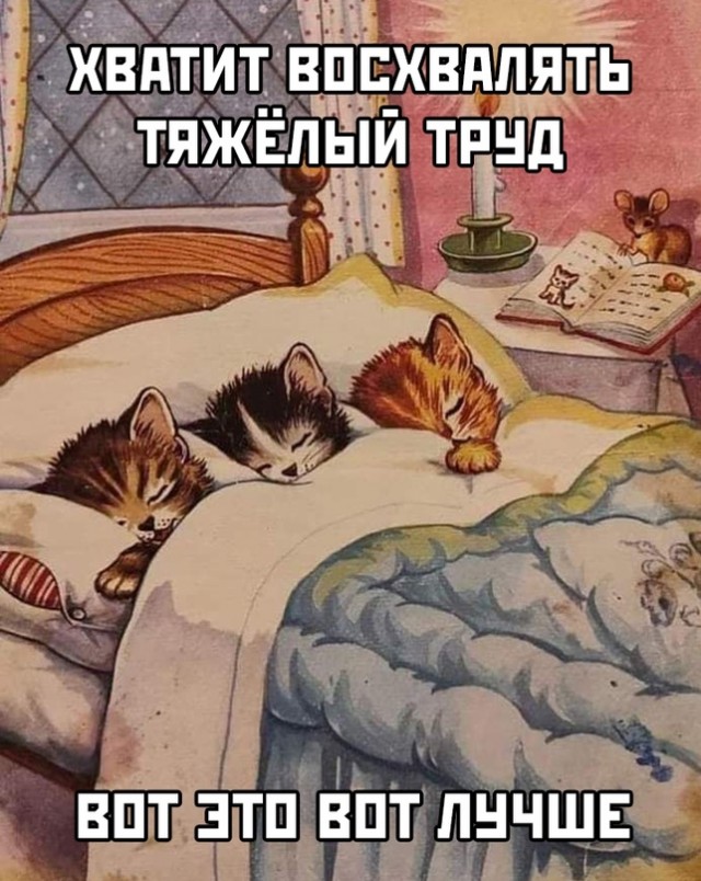 Немного картинок для настроения - 137