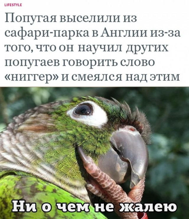 Картинки и мемы. Выходные близко...