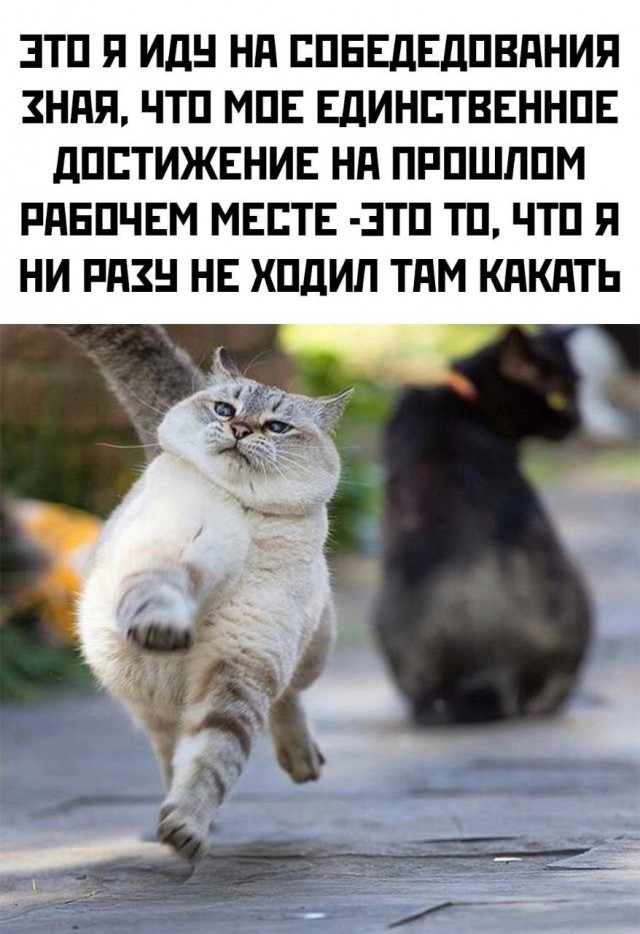 Немного разных картинок 13.05.23
