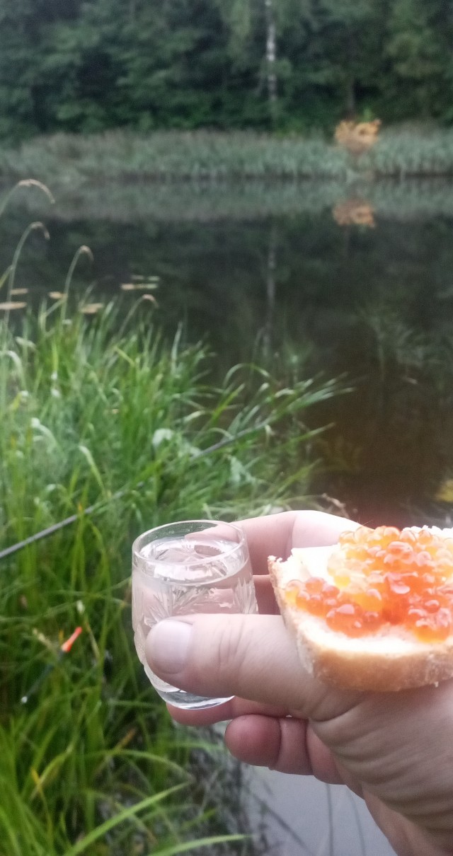 Рыбалка онлайн