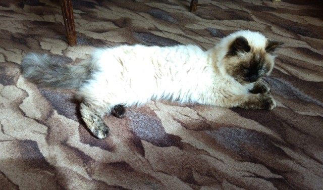 Литературная беседка