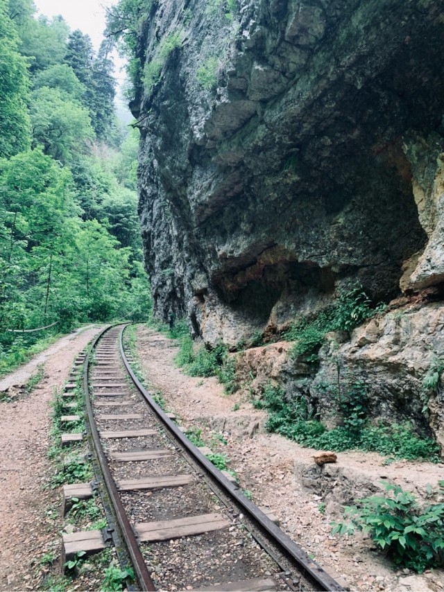 Орлиная полка