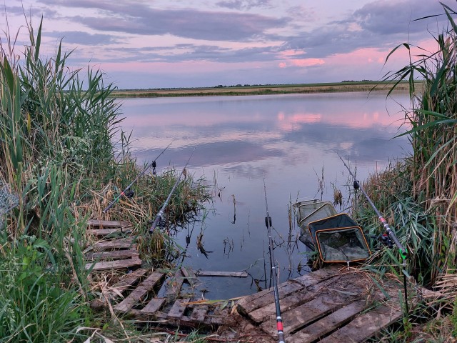 Фото с летней рыбалки
