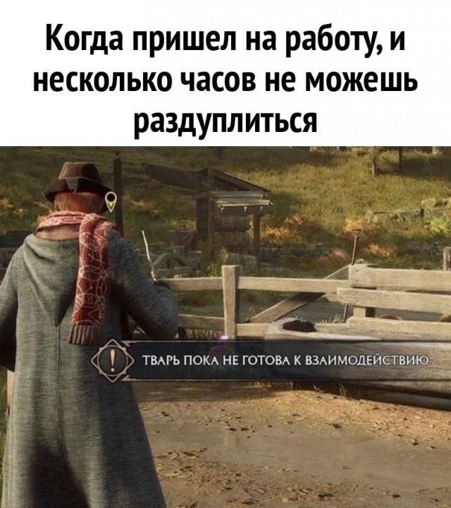 Весёлый полтишок 18.01.24