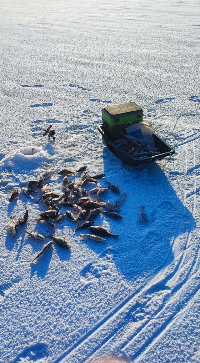 Зимняя рыбалка
