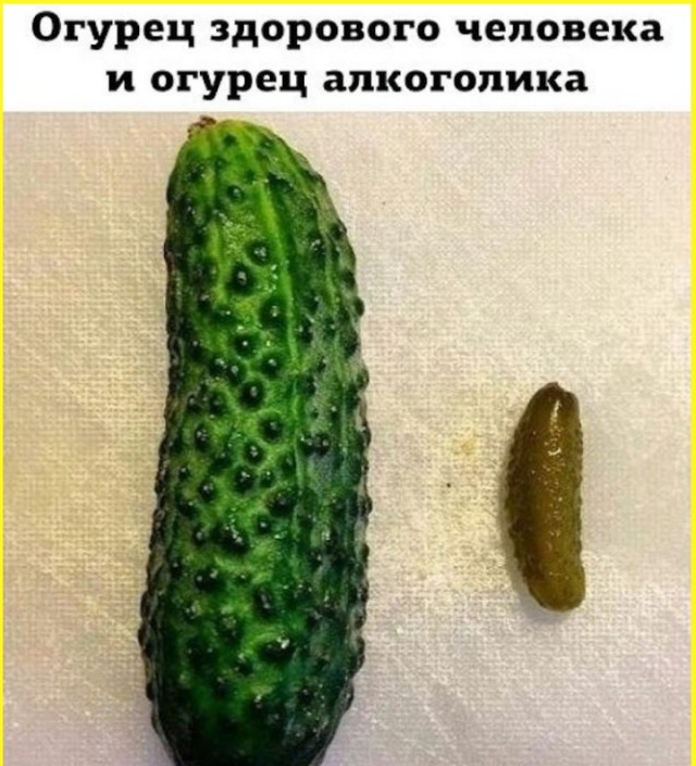 ТРРРидцать тРРРи от 3 мая