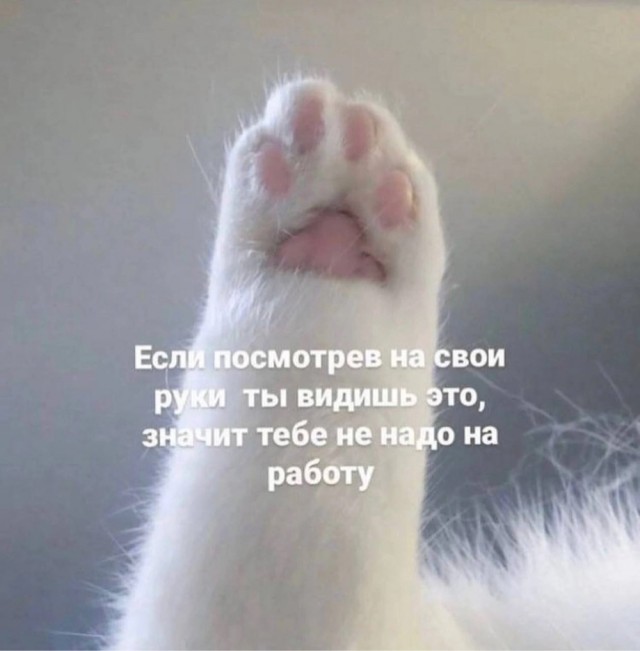 Никакие картинки и тексты