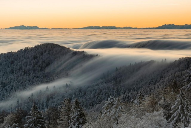 Объявлены победители конкурса фотографий дикой природы Nature Photographer of the Year 2024: полюбуйтесь на 20 лучших работ