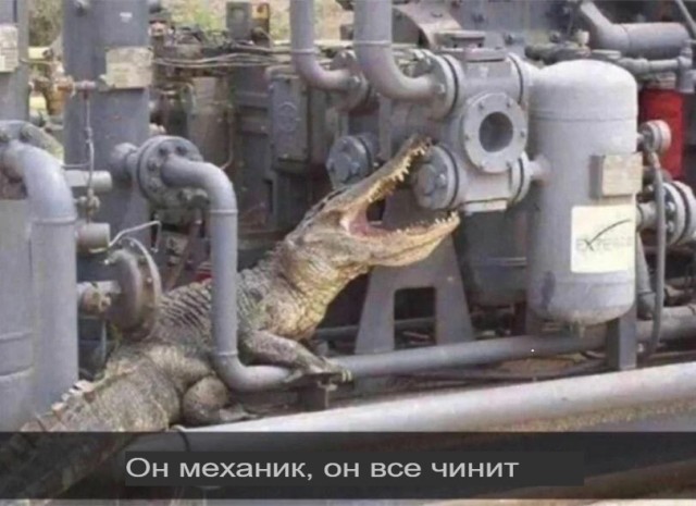 10 из просторов