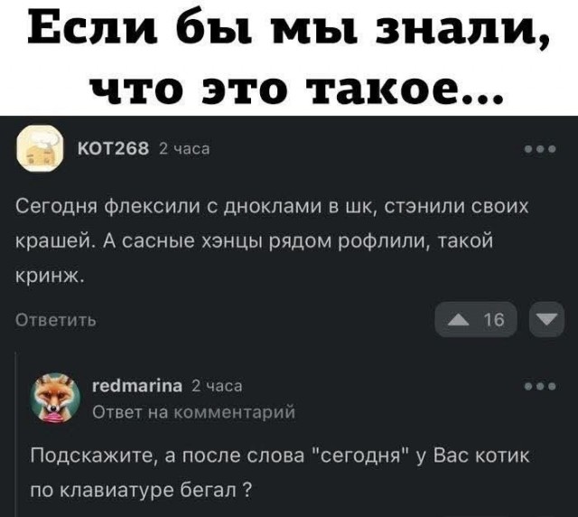 Смешные картинки с надписями и чужой кот