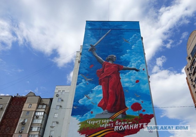 Украсили стену